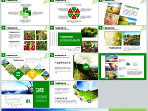 2018年“互聯網+農副產品”市場推廣企業營銷策劃案